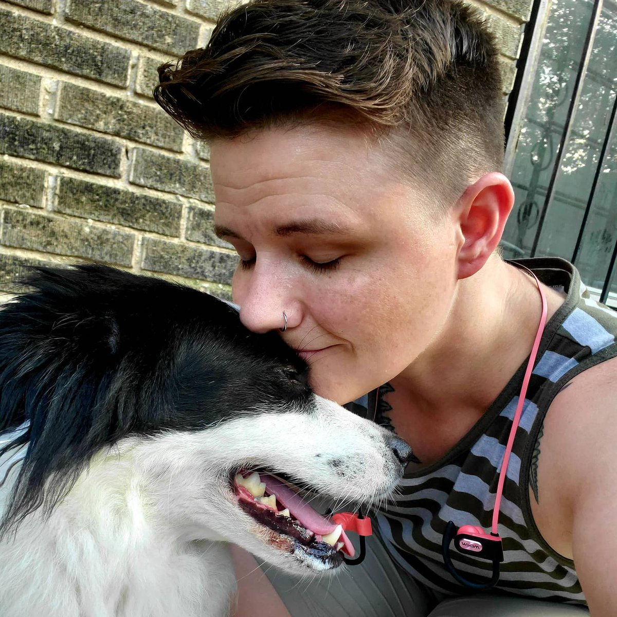 Beer_Powered's tweet photo. Just a queero and their collie. #bordercollie #queer #pride #love #heatwave #melting #fuckthishumidity https://t.co/vgYq0QglMd