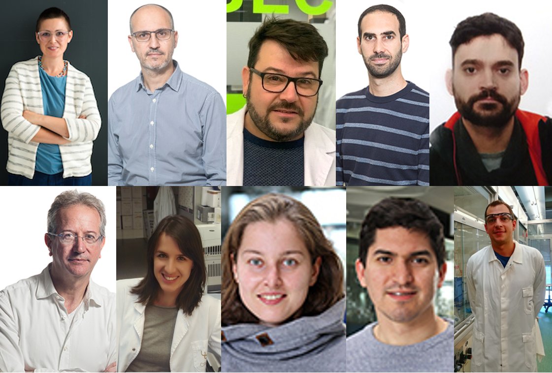 _BIST's tweet photo. Five new projects to receive #BISTIgnite “Seed Grants”!
Congratulations to the winning teams, who will combine their capabilities to provide new scientific answers to major open challenges in #health and fundamental #physics. #BISTCommunity
https://t.co/MgwER22kad https://t.co/gev6HIIhOf