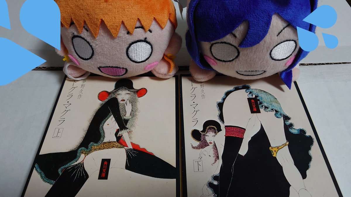 ドグラ マグラ の感情分析 Nyakone ドグラ マグラ の感情分析 Nyakone