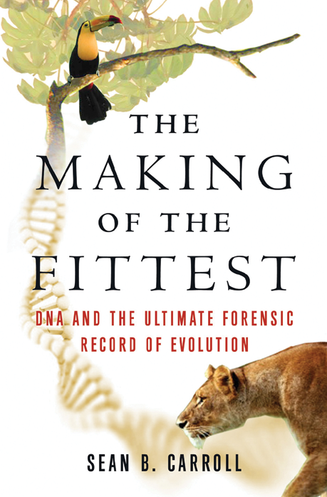 EvolutionVU's tweet photo. This week's #EvolBook is "The Making of the Fittest: #DNA and the Ultimate Forensic Record of #Evolution" by @SeanBiolCarroll! Learn how DNA acts as a living record of evolution &amp; how precise changes have allowed life to adapt to ever-changing &amp; harsh environments. #EvolutionVU https://t.co/XlLfUWe6oV