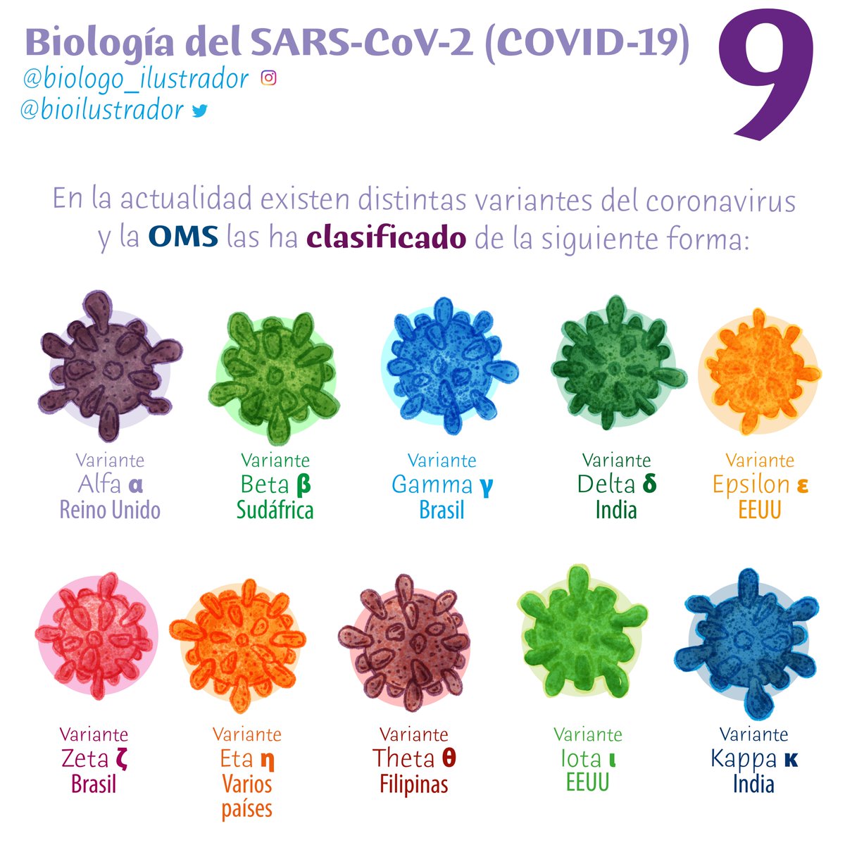 bioilustrador's tweet photo. #Biología del #SARS-CoV-2 #COVID19  INFO 9 😷
¿Cuales son las variantes y cuál es su clasificación?
Todo es mas fácil con dibujos y colores ✏️
*las infos son de libre difusión ✊ https://t.co/f0bE23cjYE