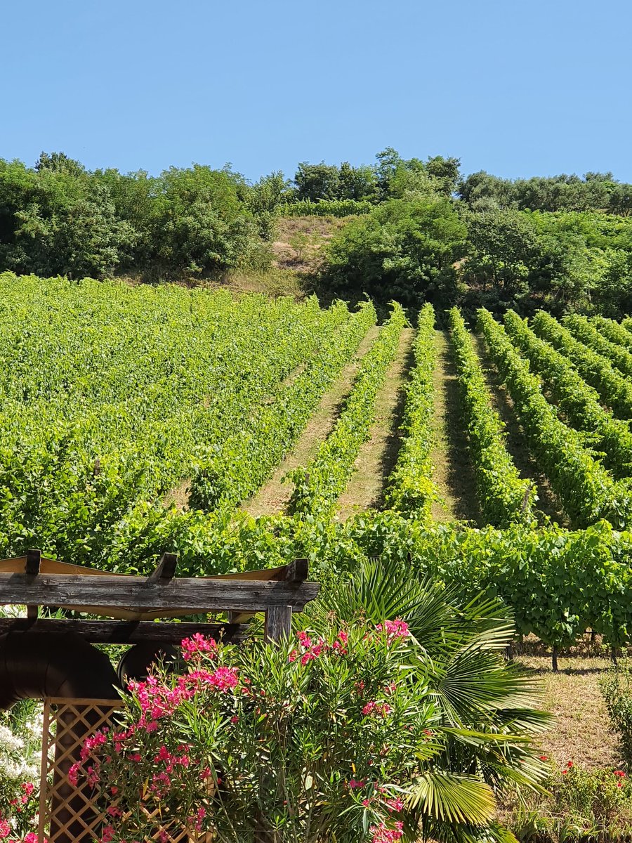 KerinOKeefe's tweet photo. At his estate situated between #SoaveClassico &amp; #LessiniDurello hills, Gianni Tessari, picured with his daughter Valeria, makes vibrant, focused #LessiniDurello. 2010 Riserva Dosaggio Zero boasts complexity and freshness. https://t.co/PKgm1Ji1V8