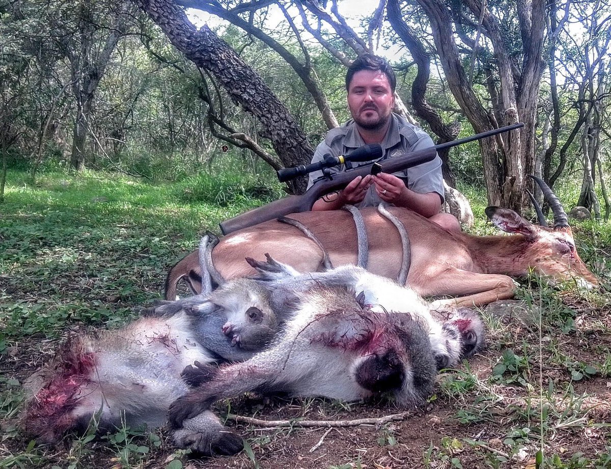 Family man-Andries Prinsloo, wiped out a vervet monkey mum &amp; her 4 babies. The tails neatly draped over the buck that also fell prey to this killer. No regard for life, not even this little primate family.😳
🙏🏼RT
#BanTrophyHunting
<a href="/zbleumoon/">Sarah ☮ & █▄❤️╲╱☰ Ⓥ🐘🐯🐬🐷🐥🐄</a> <a href="/AgainstHunting/">For Love of Foxes</a> <a href="/Angelux1111/">Angel</a> <a href="/jetfury/">🏴‍☠️ Geoff Barrow 🏴‍☠️</a>