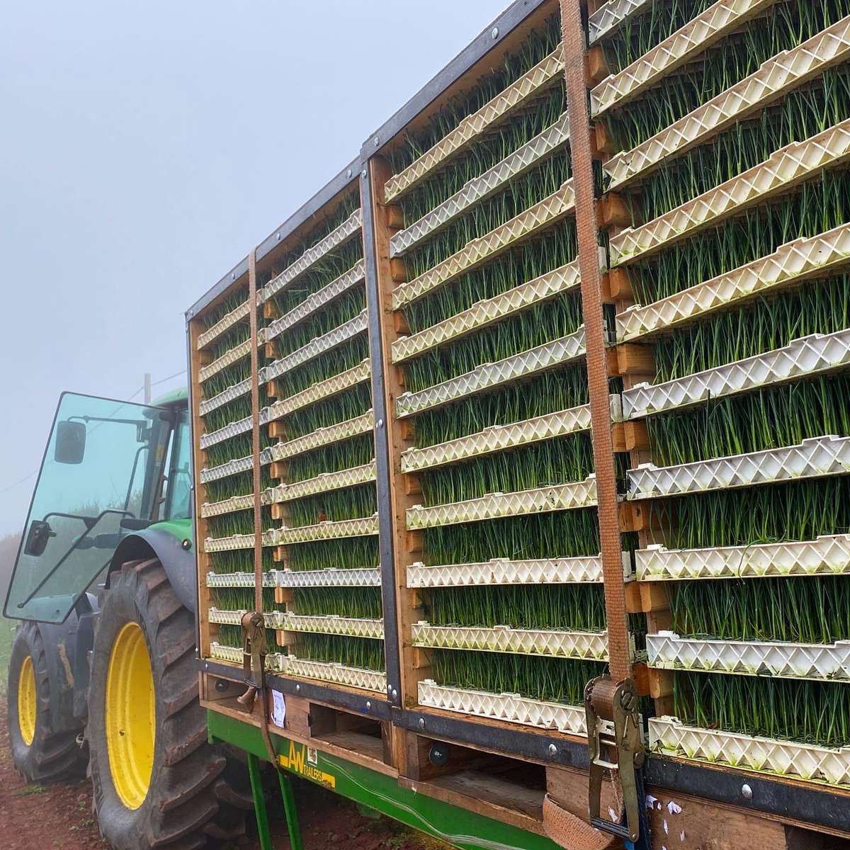 blasytir's tweet photo. 🌱Leek Planting 🌱
We used this super automatic leek planter to plant 2,000,000 leeks (how cute are baby leeks 💚)
Usually we would plant 3 acres a day but this allowed us to plant 12 acres a day!!
That’s a whole lot of leeks to #nourishthenation 🏴
#welshleeks #blasytir https://t.co/dQbxHTQqWc