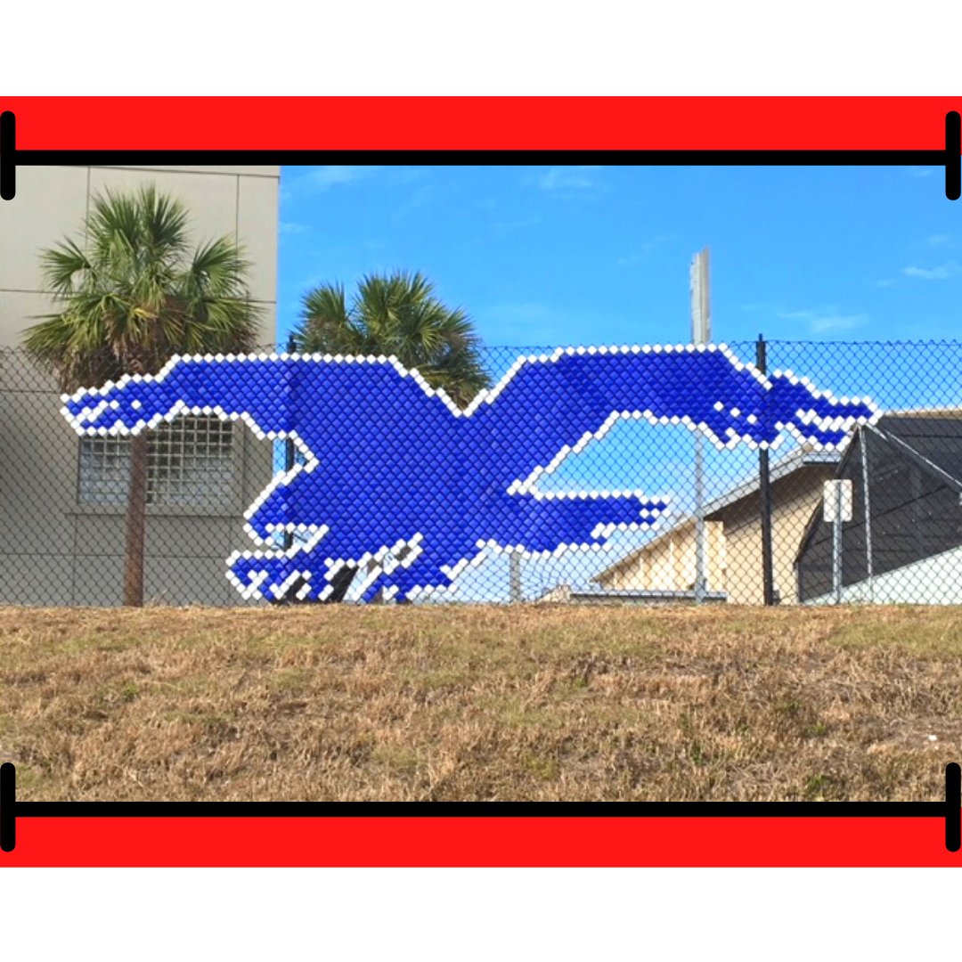 This 6' Eagle Design can be found on our website. Ready to go! 
Shown in ROYAL #113, WHITE #101