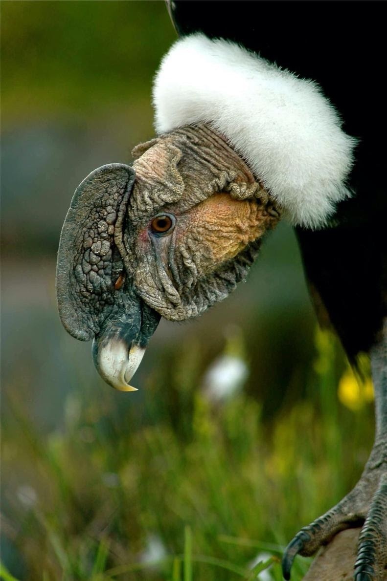 Learn From Travel tweet media