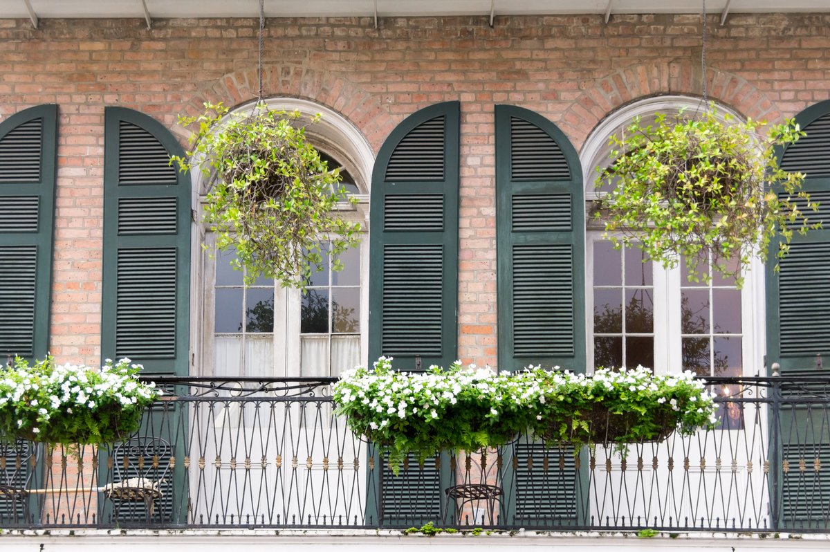 Allow charming balconies and blooming flowers to be the soundtrack of your summer. 

#HigginsHotel #NewOrleans