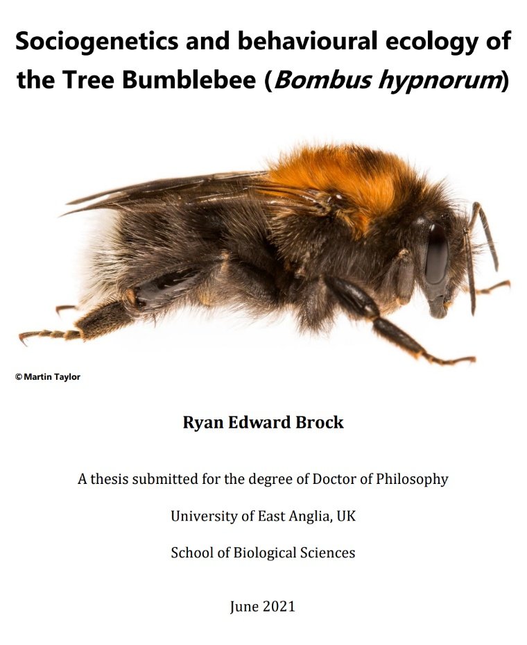 Ryan Brock tweet media