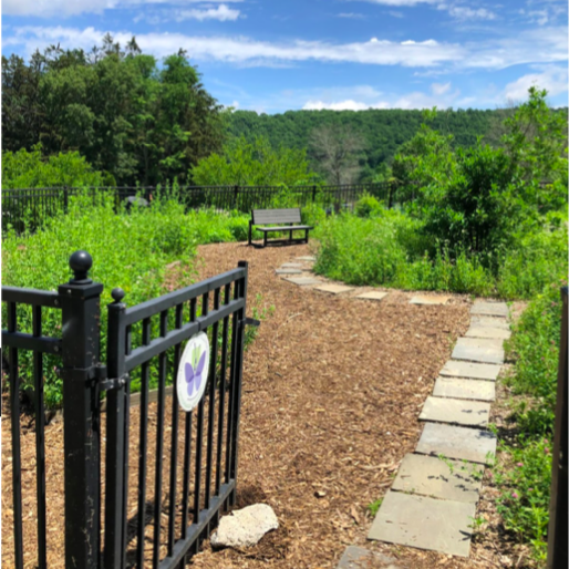 RHS Teacher Arlyn Kilduff reports, “Over the past few years with help from AP Environmental Science, Biology, and National Honor Society students we have transformed an old garden at RHS into an outdoor classroom and pollinator garden!" Thanks to all who made this possible!