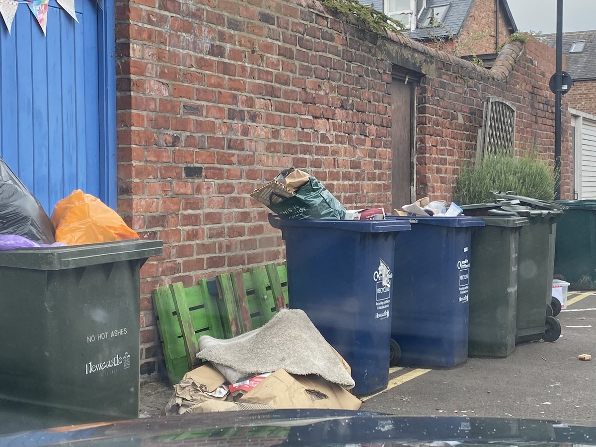 JojoBerrington's tweet photo. Getting rid of any old rubbish or furniture? Just bring it to the Jesmond slums.
@JesmondStella @UniofNewcastle @NorthumbriaUni
@NewcastleCC @ChronicleLive @NCC_Leader
 #EndASBinJesmond #RewildingJesmond #StudentSlums https://t.co/44aq5QPgLH