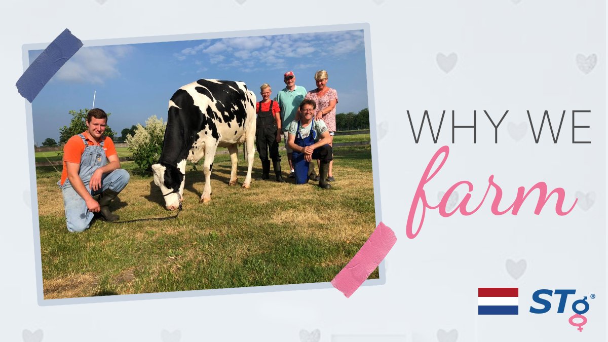 STgenetics's tweet image. Why do farmers farm? Love. They must do it for love. They love to live where they work and to work where they live. 📸 Heerenbrink Holstein family with Bel CHIEF Cecilia VG-88, in the Netherlands 🇳🇱 #STgenetics: the best way to predict the future is to create it.