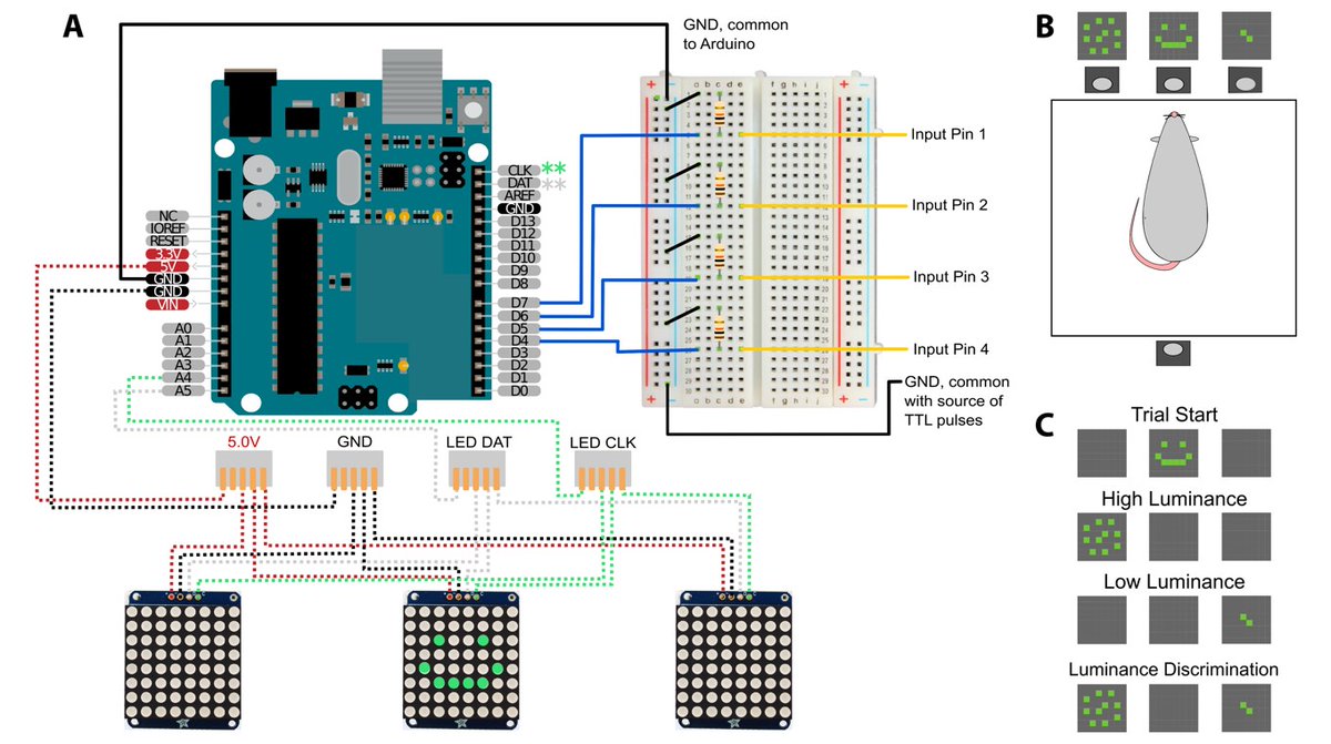 SfN Journals (@sfnjournals) on Twitter photo #eNeuro: A team led by <a href="/laubach_mark/">Mark Laubach</a> <a href="/AU_Neuroscience/">AU Neuroscience</a> developed an open source, versatile, low-cost visual stimulus presentation platform that can be combined with a bespoke 3D-printed operant response device to expand access to behavioral science.
eneuro.org/lookup/DOI/10.… #eNeuro: A team led by <a href="/laubach_mark/">Mark Laubach</a> <a href="/AU_Neuroscience/">AU Neuroscience</a> developed an open source, versatile, low-cost visual stimulus presentation platform that can be combined with a bespoke 3D-printed operant response device to expand access to behavioral science.
eneuro.org/lookup/DOI/10.…