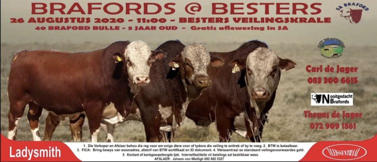 KobusStapel's tweet photo. King Price Insurance proudly associated with  Brafords@Bester  #makingadifference #specialised #livestockfarming Nooitgedacht Brafords https://t.co/vka6f6AX0d