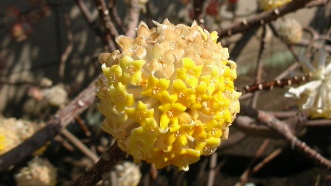 kamisama_kotoba's tweet image. Release it and surrender to the natural flow.

諦めて自然な流れに任せる。
#entrust #委ねる