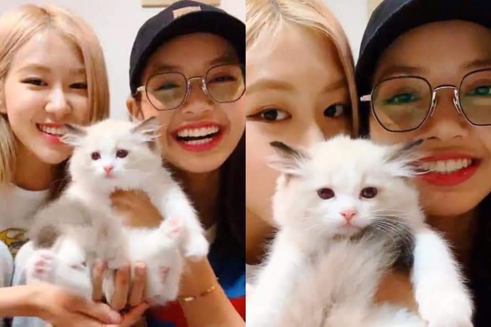 bpinksthinker's tweet photo. ok but i still don't agree that chaelisa didn't live to introduce lego 😭 https://t.co/bNiowZbpOj