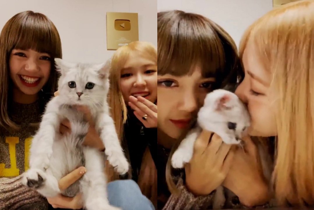 bpinksthinker's tweet photo. ok but i still don't agree that chaelisa didn't live to introduce lego 😭 https://t.co/bNiowZbpOj