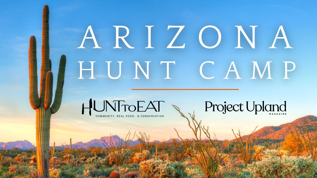 Hunt_to_Eat's tweet photo. Have you been thinking about learning to #hunt upland birds? We've got an opportunity for you. Join Hunt to Eat and @Project_Upland in sunny southern Arizona this December for a Hunt Camp that could only be described as a quail hunter’s dream: https://t.co/mdIcHxJLq7 https://t.co/kItAbWDBGA