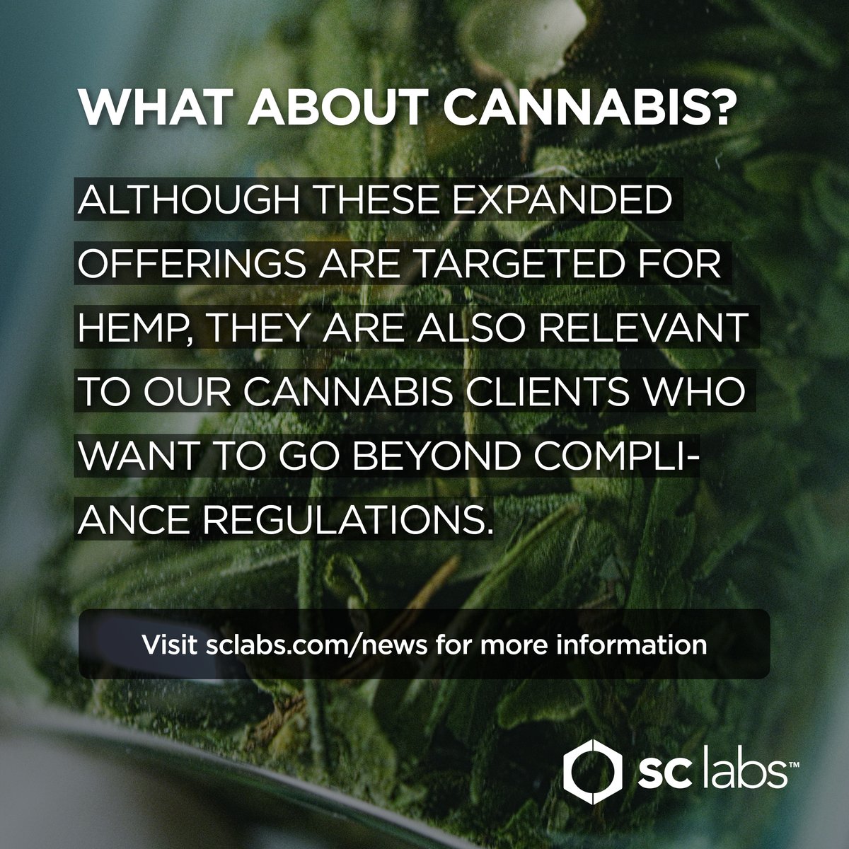 sclabs_us's tweet image. Without federal oversight, state testing rules offer varying levels of protection.

Our expanded and ISO-accredited Quality Assurance tests are among the industry’s most relevant and complete.

okt.to/Q0DBH1

#hemptesting #CBDtesting #cannabistesting #safeCBD #sclabs