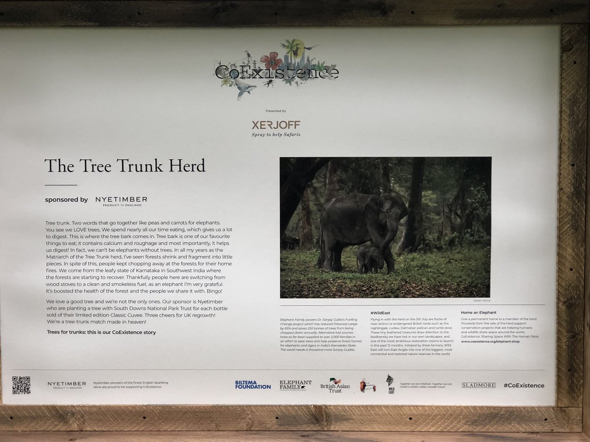 What a surprise in Central London’s Green Park &amp; St James’s Park today. Not football fans but herds of elephants! All in the good cause of conservation.