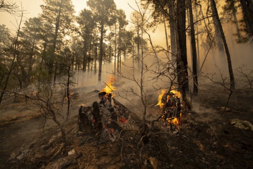 'The solution to pollution is dilution' - @SRPconnect James Walter explains why our water experts are keeping a close eye on the burn scar left from the Bush Fire. @azcentral @antonldelgado @thawthornephoto bit.ly/2SyZs9B