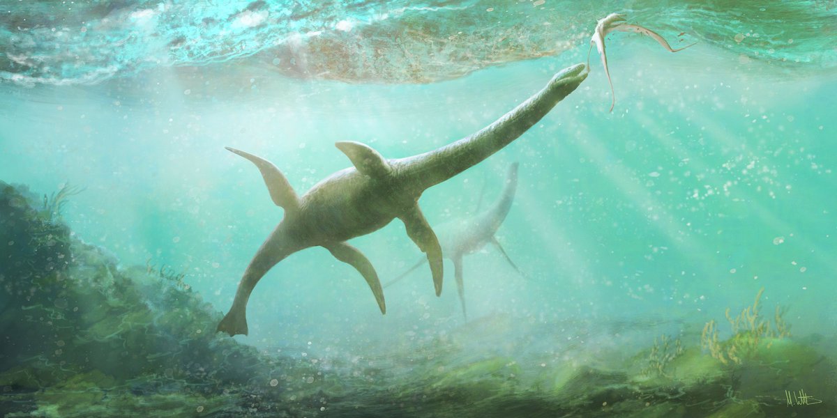 MarkWitton's tweet photo. More new plesiosaur #palaeoart just posted at #Patreon, showing that obscure, rarely-mentioned animal Plesiosaurus dolichodeirus. This one is a hipster, eating pterosaurs like it's 1830. Check out the high-res version and loads more palaeoart content at https://t.co/zvnJMV2UzC https://t.co/x2H4uPSgM1