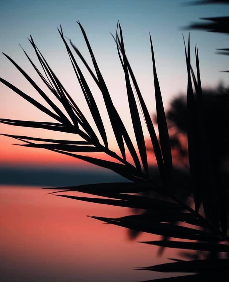 𝙰𝚃𝙰𝚁𝙳𝙴𝙲𝙴𝚁𝙴𝚂  

𝙍𝙞𝙣𝙘𝙤𝙣𝙚𝙨 𝙚𝙣𝙘𝙖𝙣𝙩𝙖𝙙𝙤𝙧𝙚𝙨  #almeria

📸 by Mferrer 

#atardecer #Palmeras #parquenatural #CaboDeGata #Nijar #paraiso #mediterranean #verano #paisajes #colores #atardeceresmagicos #costadealmeria #paradise #almería #DestinoTuristico