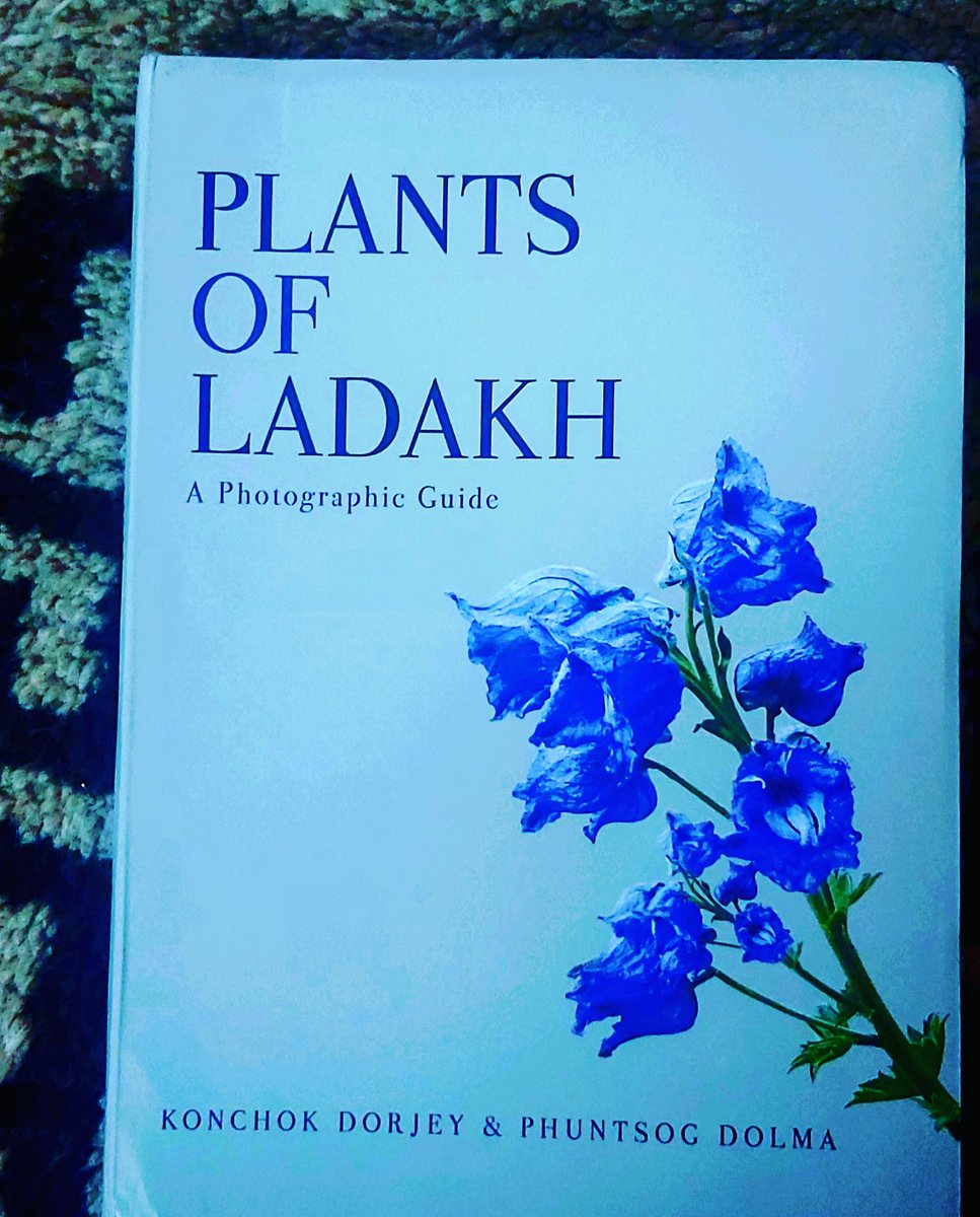 LobzangVISUDDHA's tweet photo. A beautiful book on Plants of Ladakh by local Ladakhi young authors! 

Congratulations to the authors 
Dr. Konchok Dorjey
Ms. Phuntsog Dolma

#PlantsofLadakh
#Plants #Ladakh
#FloraofLadakh https://t.co/dY2yZBaapf