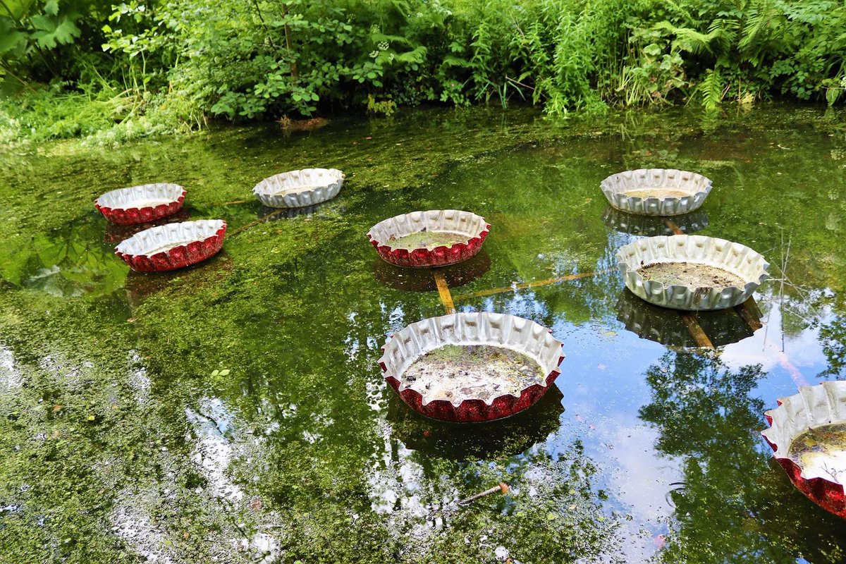 <a href="/BroomhillEstate/">Broomhill Estate</a> <a href="/CanonUKandIE/">Canon UK and Ireland</a> <a href="/photohound/">PhotoHound</a> <a href="/VisitDevonUK/">Visit Devon</a>