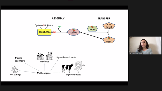 UTSW STARS Program tweet media