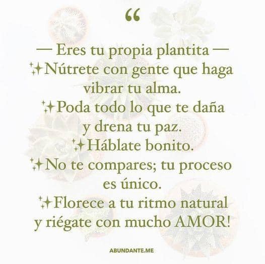 formacionyoga's tweet photo. Eres... https://t.co/CxZsphSPFL