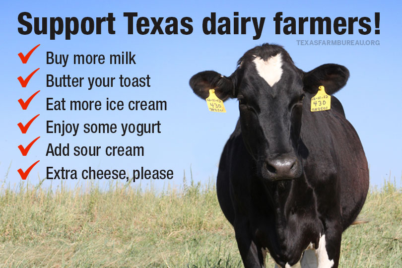 TexasFarmBureau's tweet photo. June is National Dairy Month! Celebrate the contributions of Texas dairy farmers by eating and drinking dairy products! And get the scoop on some dairy fun facts and information on #TxTableTop: https://t.co/gJizjdlgcH https://t.co/7J6KSzRXaE