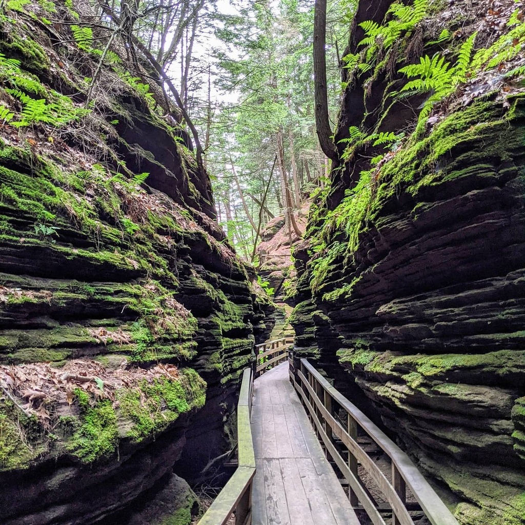 RoamingDaWorld's tweet image. Have you ever briefly passed through somewhere only to realize you need to return?

Much of our travels this month have been fulfilling desires initially sparked during a trip four years ago. That’s when we took the Amtrak Empire Builder on a 48-hour rid… instagr.am/p/CQtn5KWJl3k/