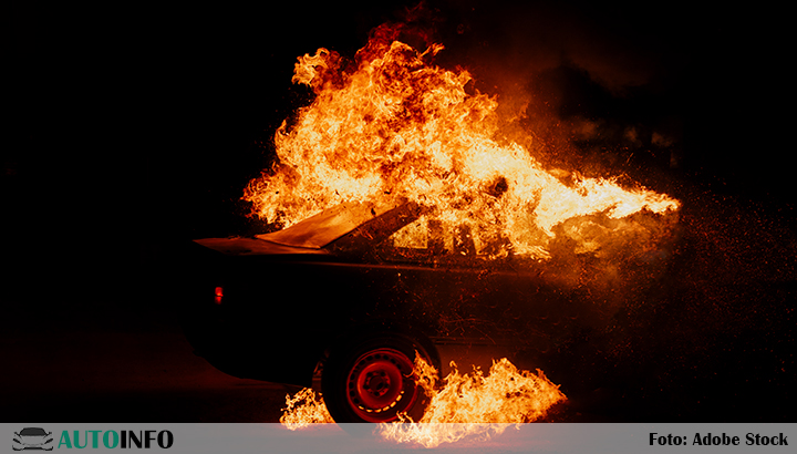 Politie pakt 16-jarige verdachte op voor autobranden in Zeewolde..