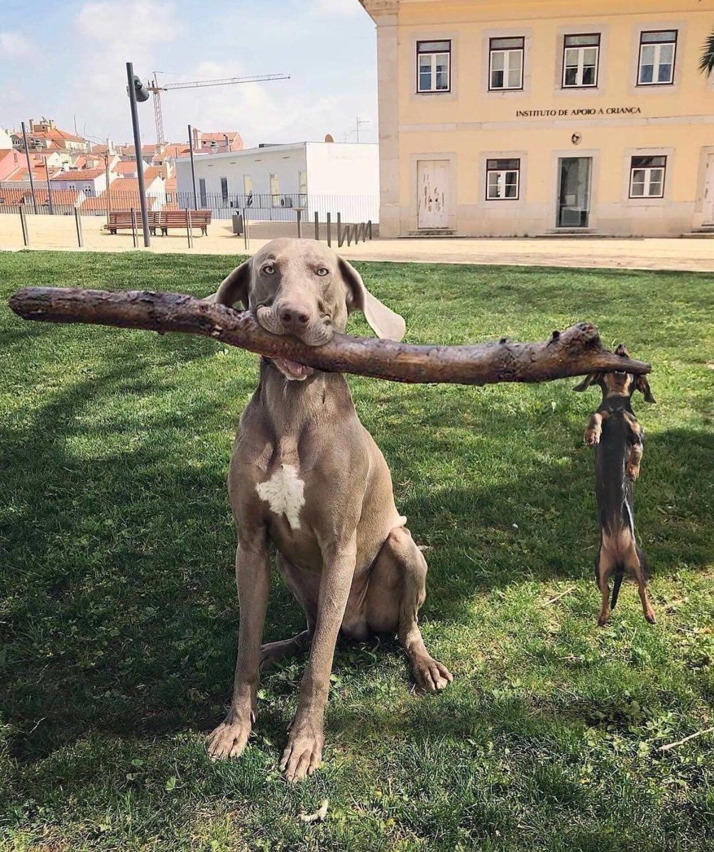 TheComedyHumor's tweet photo. Branch manager &amp; assistant branch manager: https://t.co/sPlJFtzJoz