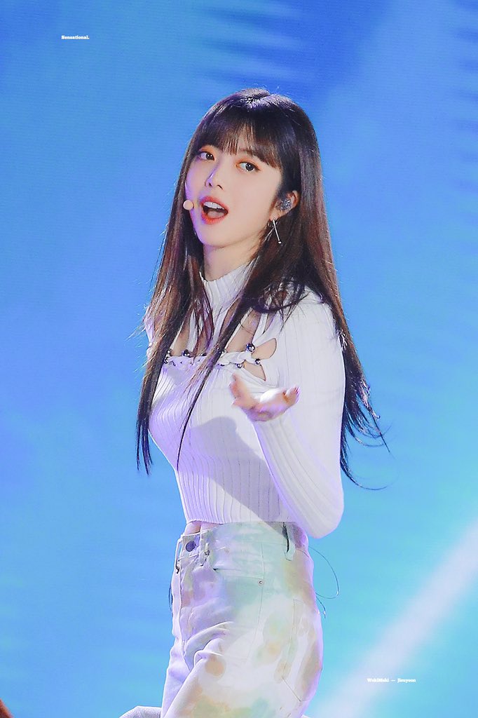 드림콘서트
