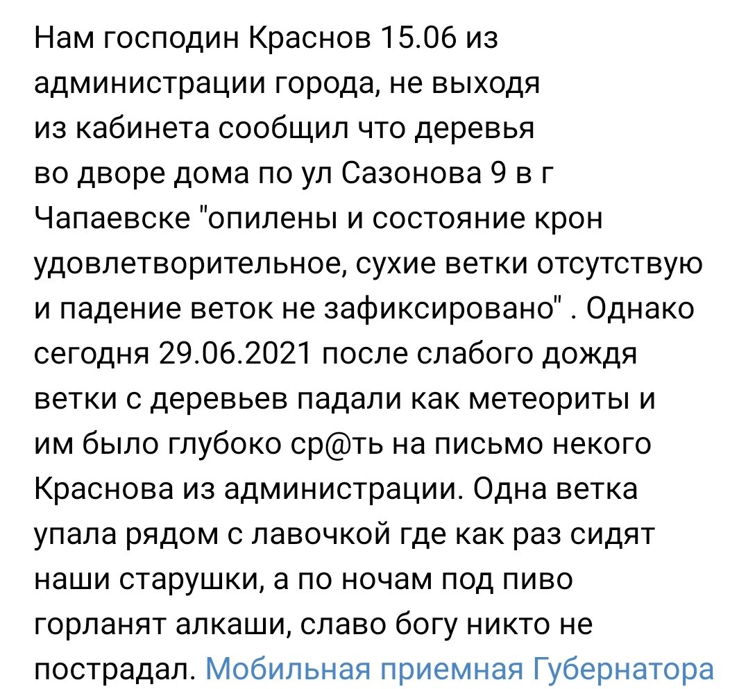 gost1714's tweet photo. Дмитрий Игоревич отреагируйте! . Ветки с деревьев падают на лавочку где старушки сидят, слава богу никто не пострадал!Чапаевск Сазонова 9. Рядом детская площадка! @D_Azaroff @SamMobilePriem @gzhi_samara @Genproc @EchoMskRu @vesti_news  @Pravitelstvo_RF @KremlinRussia @ https://t.co/bi0k7ANht1