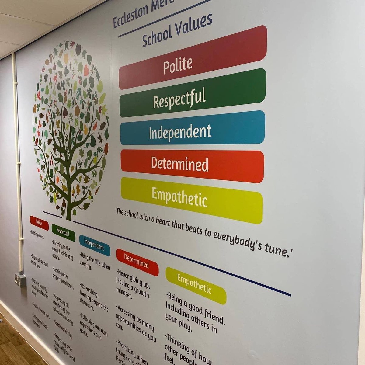EcclestonMere's tweet photo. Thanks to @Vinyline_ for displaying our school values so fantastically! We thinks it looks amazing! 💙💛🌳 https://t.co/OkM27G2W8w