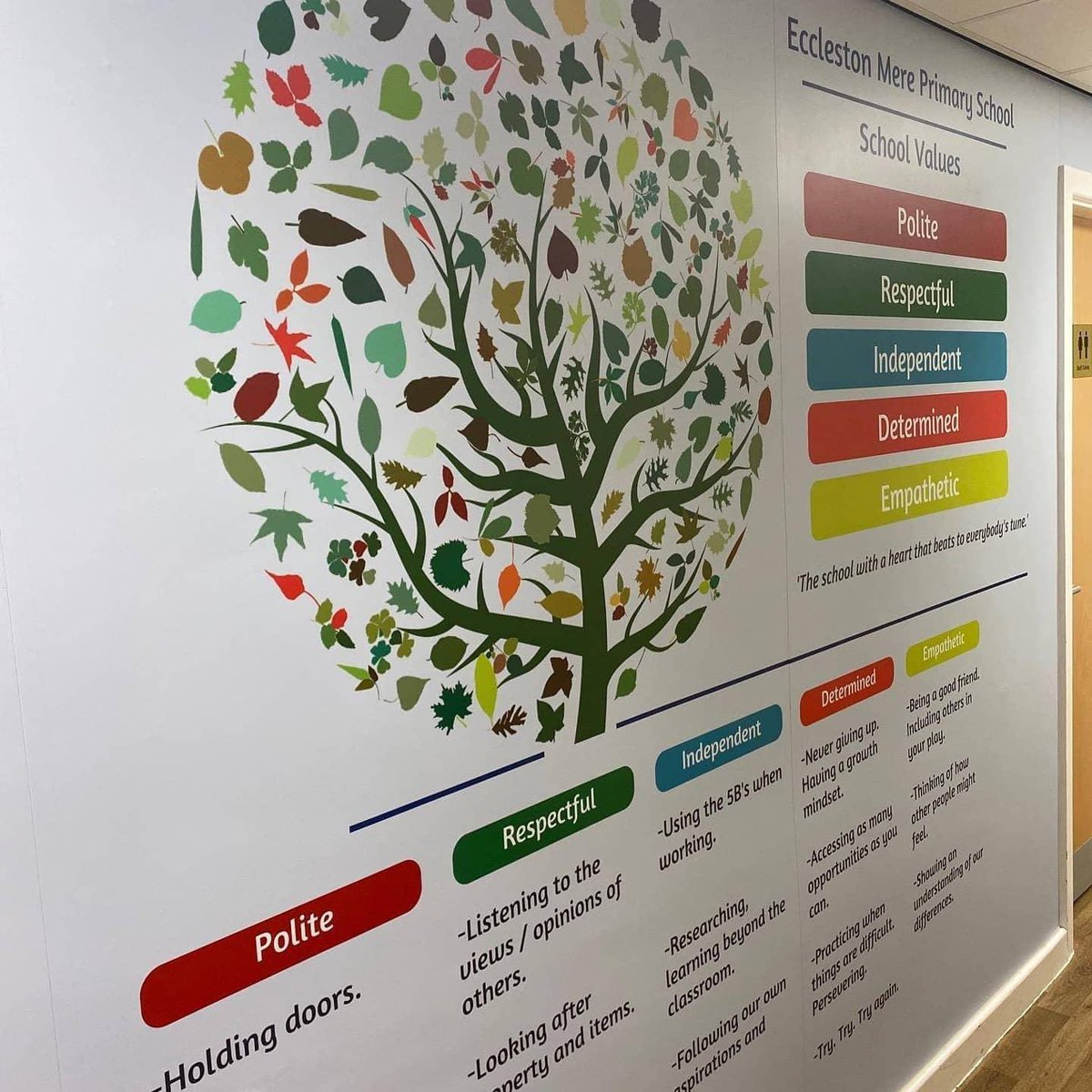 EcclestonMere's tweet photo. Thanks to @Vinyline_ for displaying our school values so fantastically! We thinks it looks amazing! 💙💛🌳 https://t.co/OkM27G2W8w