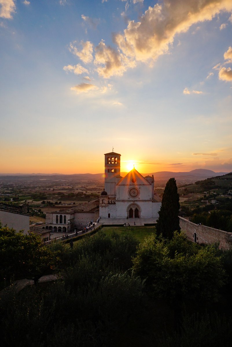 Pime Giovani tweet media