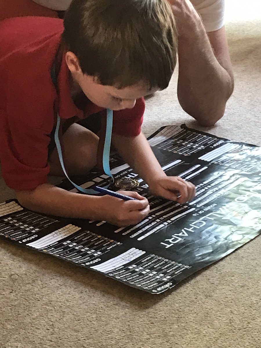 Writing for a purpose: is anyone else completing their Euro wallchart?