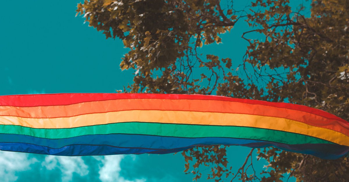 SubstantivoP's tweet photo. 5 LIVROS FASCINANTES COM TEMÁTICA LGBTQIA+

Estreia de Silvia Brito no @SubstantivoP; a poeta, professora de Língua Portuguesa e Literaturas e doutoranda em Literatura Comparada pela UFRN, traz uma listinha com dicas preciosas:

https://t.co/nQFMuYgTto

#LGBTQIA #LGBT https://t.co/lrqhjfDP0b