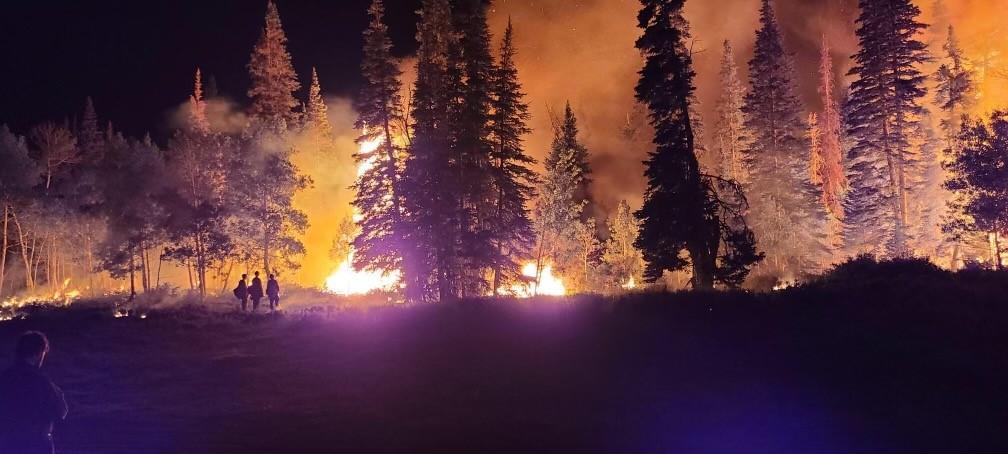 UtahFFSL's tweet photo. Did you know that we’ve had at least one wildfire somewhere in Utah every single day since May 17th?

That’s 44 days in a row… Let’s break the streak! Practice #FireSense this summer to #PreventWildfires. Visit https://t.co/9XtF12e6hR for wildfire prevention tips. https://t.co/b7YkZGo0Rr