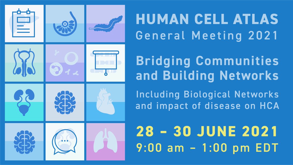 Thanks to everyone who joined us for Day 2 of the 2021 HCA General Meeting. #HCA2021GM