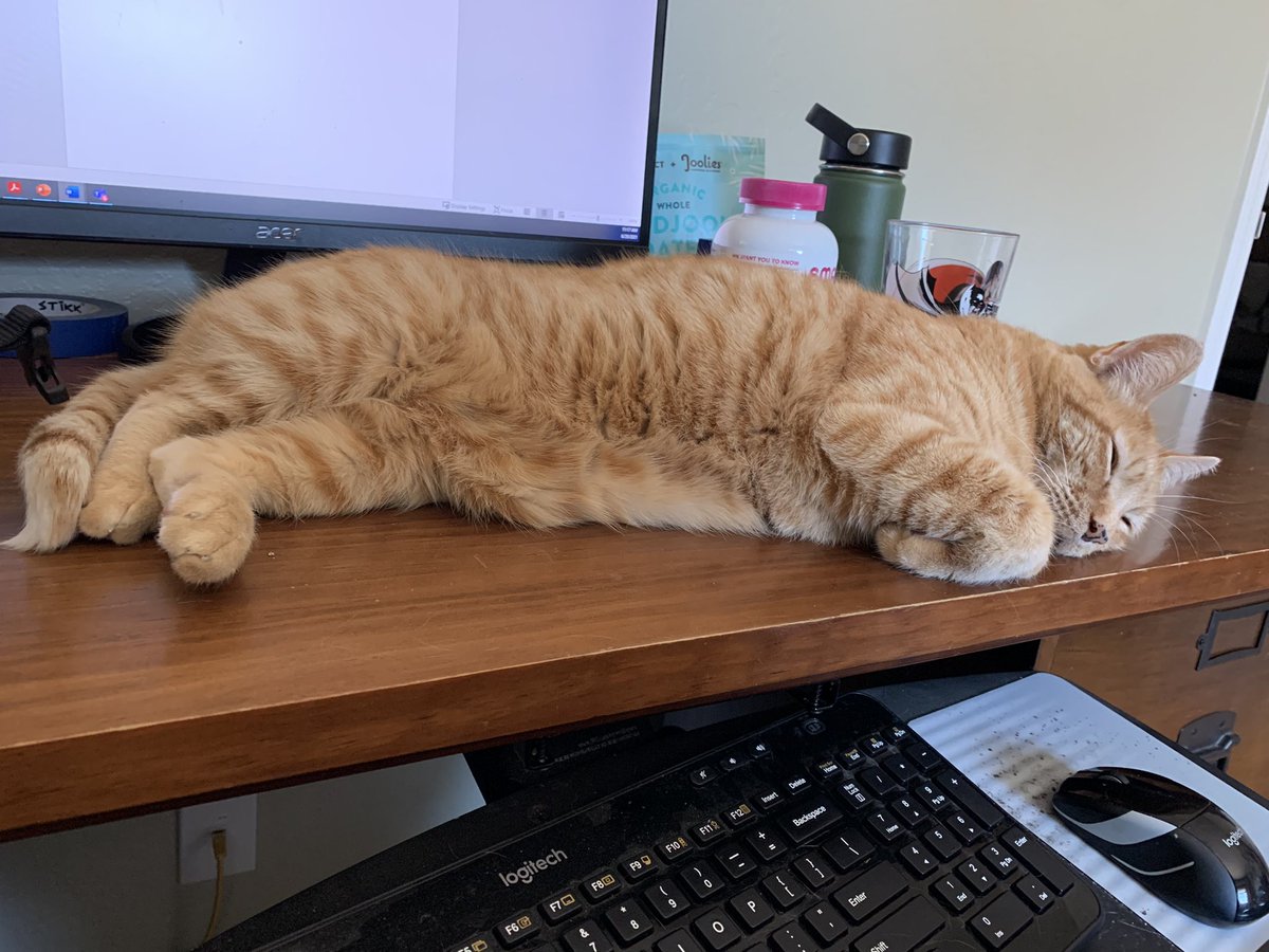 2hrs into the work day and I have successfully put my paws in a tub of hummus, swiped my lady friend’s carrots off her desk and onto the floor, and knocked over my lady friend’s coffee.  But you’d never guess based on my current demeanor. <a href="/BaseballGuys/">BaseballGuys</a> #cats #CatsofTwittter
