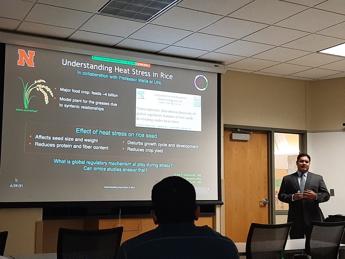 Mohammad introducing his #GSM tool #MiReN for studying heat stress in rice using #transcriptomics to batter undertand the response of this crutial crop. #rice #climateChange