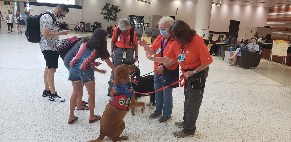 ellaghica's tweet photo. Love seeing our #PetTherapyDog teams in our terminals at #HoustonAirports #customerexperience #MakingADifference #EverySecondMatters #ThankYou Brandy, Bunker and Shotgun #Awesomness #HoustonFriendly @APTherapyDogs https://t.co/2UFAdnTmL8