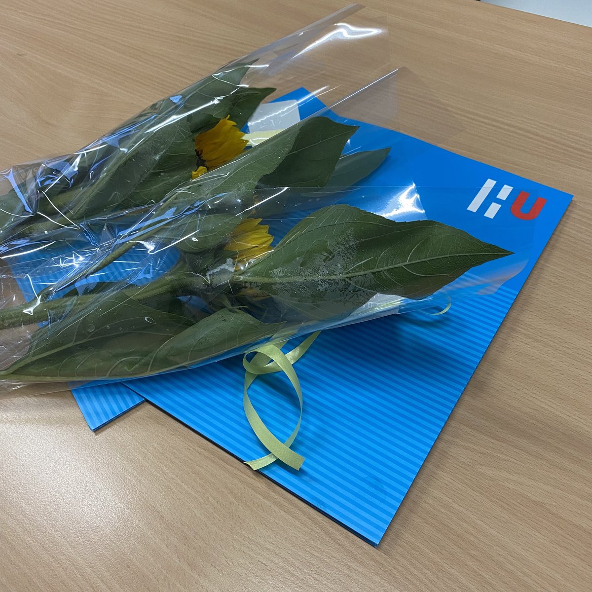 justinvanriel's tweet image. Straks in september is het 10 jaar geleden dat ik zelf begon aan mijn #socialwork opleiding bij de @HUBSWUtrecht en vandaag mocht ik “mijn” eerste groep studenten hun #propedeuse uitreiken. Wat een leuke groep toekomstige collega’s komt er aan!