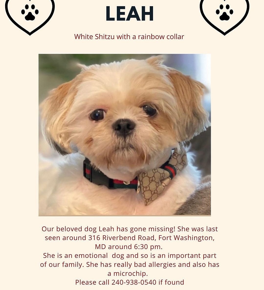 TheBeautiful_E's tweet photo. PLEASE PLEASE PLEASE SHARE, REPOST, REPORT!!! 

OUR fur baby Leah is missing last seen in Fort Washington, MD last night around 6:30pm she was supposed to be with the sitter and is now missing 

Please help!!! https://t.co/qzOl8fNXNB