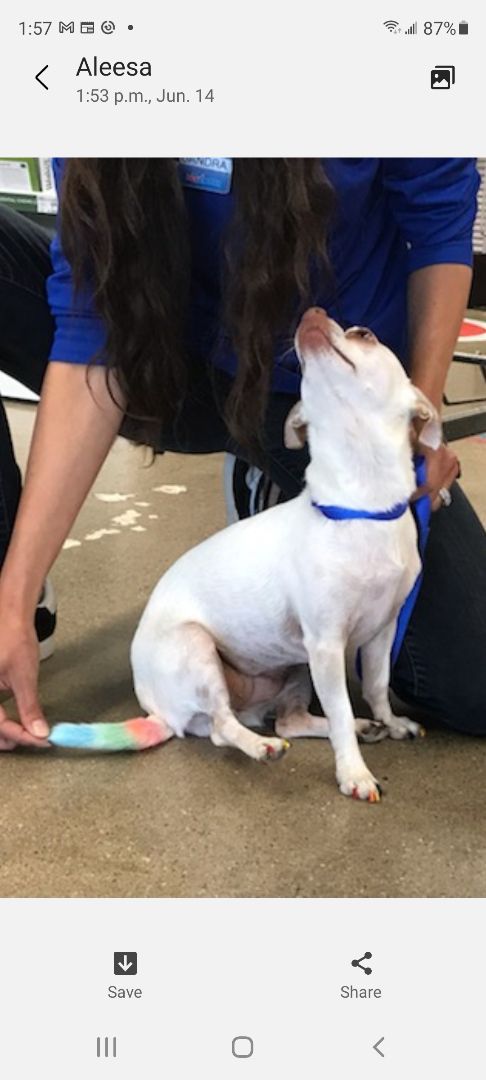 A big thank you to Lily for participating in our Pride contest and winning our store a pantry fill-up!! <a href="/ThatJenKelly/">Jennifer Kelly</a> 
#LifeAtPetsmart
