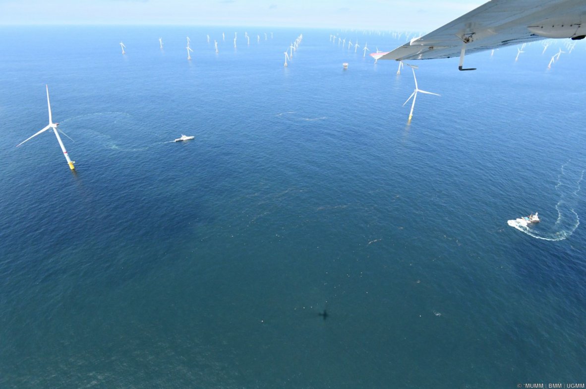 Commandant_Cstr's tweet photo. Pollution exercise in the #windmillfarm with #Zeetijger #Provider #Patrolaircraft_BBM and @Leefmilieu
Thanks @ Royal Belgian Institute of Natural Sciences for the pictures https://t.co/Bo4PAzKJiY